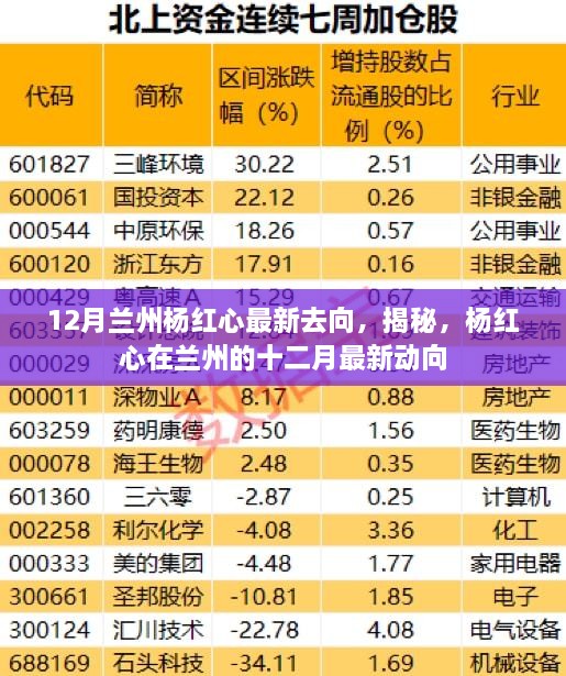 揭秘杨红心在兰州的十二月最新动向，最新去向曝光