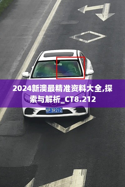 2024新澳最精准资料大全,探索与解析_CT8.212