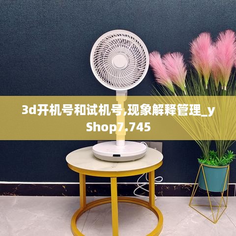 3d开机号和试机号,现象解释管理_yShop7.745