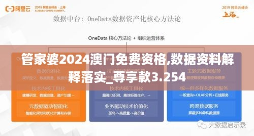 管家婆2024澳门免费资格,数据资料解释落实_尊享款3.254