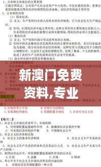 新澳门免费资料,专业解析说明_基础版2.106