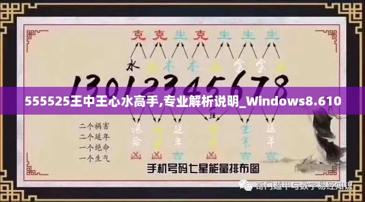 555525王中王心水高手,专业解析说明_Windows8.610