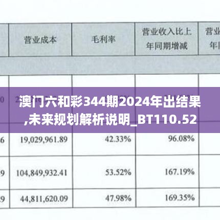 澳门六和彩344期2024年出结果,未来规划解析说明_BT110.522