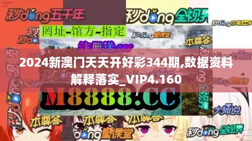 2024新澳门天天开好彩344期,数据资料解释落实_VIP4.160