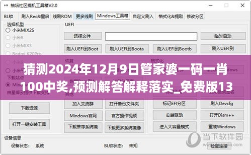 猜测2024年12月9日管家婆一码一肖100中奖,预测解答解释落实_免费版13.237