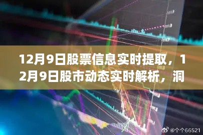 12月9日股市动态解析与实时股票信息提取，洞悉投资机会