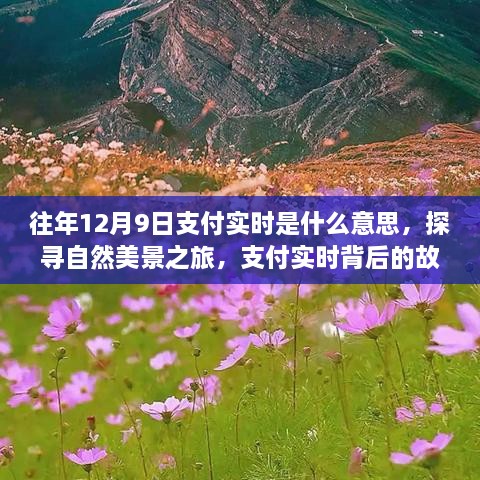 探寻自然美景之旅，支付实时背后的故事与心灵之旅，历年12月9日支付实时解析