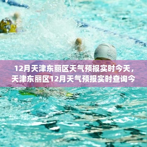 天津东丽区12月天气预报实时查询及今日天气全攻略（初学者与进阶用户必看）