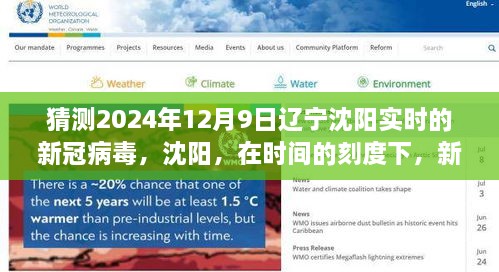 沈阳新冠病毒预测与影响回顾，时间刻度下的2024年预测与回顾分析