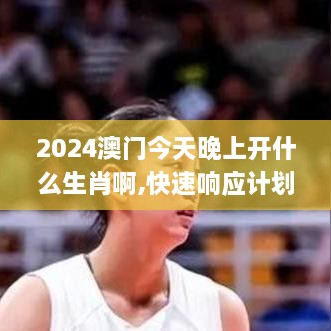 2024澳门今天晚上开什么生肖啊,快速响应计划解析_创意版9.533