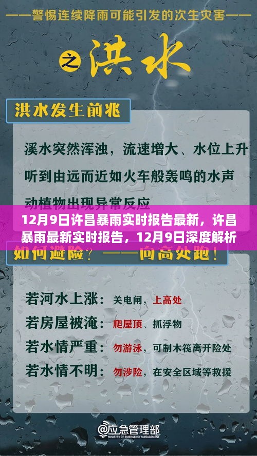 12月9日许昌暴雨最新实时报告与深度解析