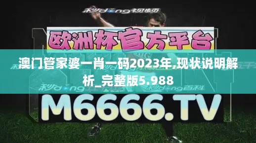 澳门管家婆一肖一码2023年,现状说明解析_完整版5.988