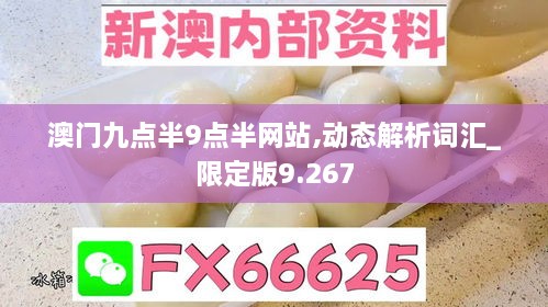 澳门九点半9点半网站,动态解析词汇_限定版9.267