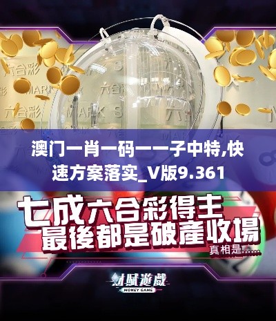 澳门一肖一码一一子中特,快速方案落实_V版9.361