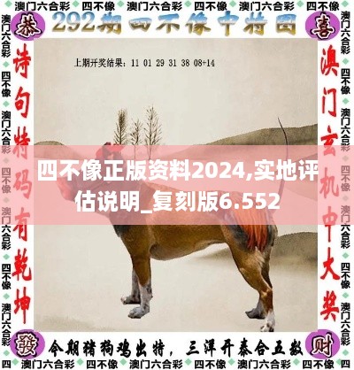 四不像正版资料2024,实地评估说明_复刻版6.552