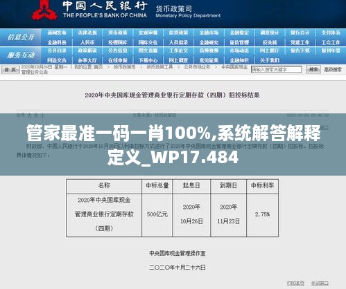 管家最准一码一肖100%,系统解答解释定义_WP17.484