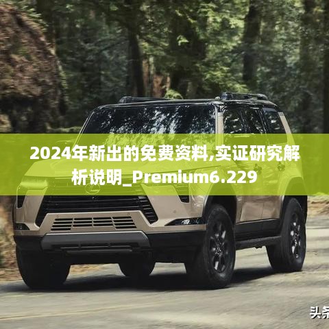 2024年新出的免费资料,实证研究解析说明_Premium6.229