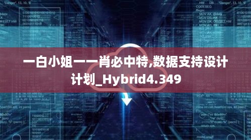 一白小姐一一肖必中特,数据支持设计计划_Hybrid4.349