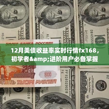 FX168美债收益率实时行情解析，初学者与进阶用户必备指南