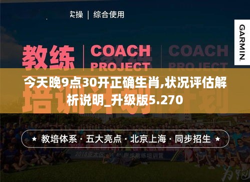 今天晚9点30开正确生肖,状况评估解析说明_升级版5.270