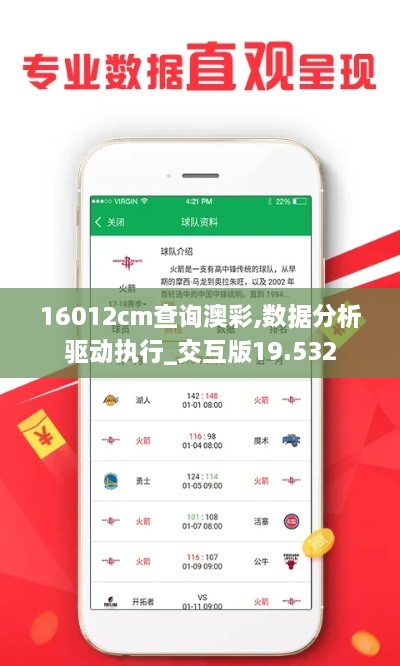 16012cm查询澳彩,数据分析驱动执行_交互版19.532