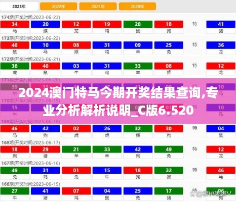 2024澳门特马今期开奖结果查询,专业分析解析说明_C版6.520