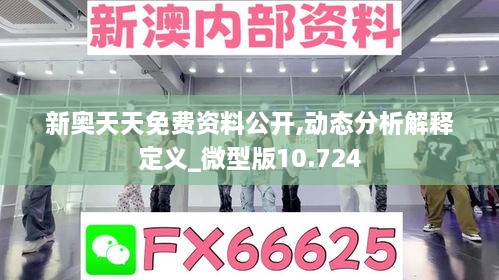 新奥天天免费资料公开,动态分析解释定义_微型版10.724