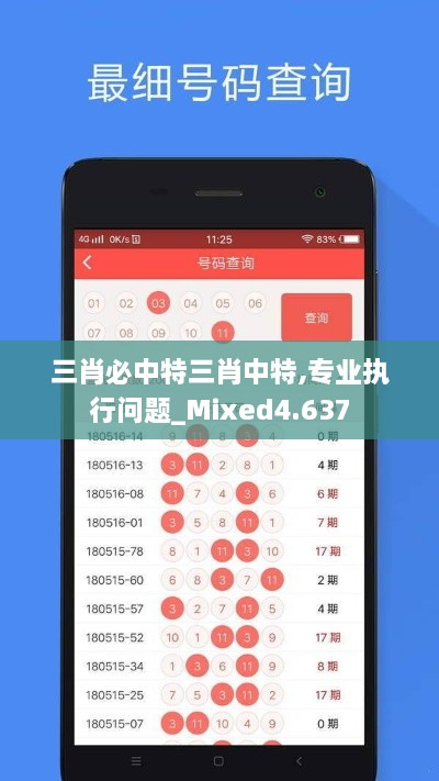 三肖必中特三肖中特,专业执行问题_Mixed4.637