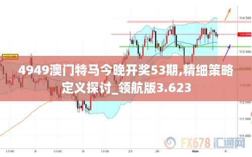 4949澳门特马今晚开奖53期,精细策略定义探讨_领航版3.623