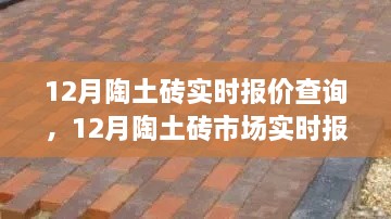 12月陶土砖市场实时报价及行业动态解析，洞悉建材选购指南