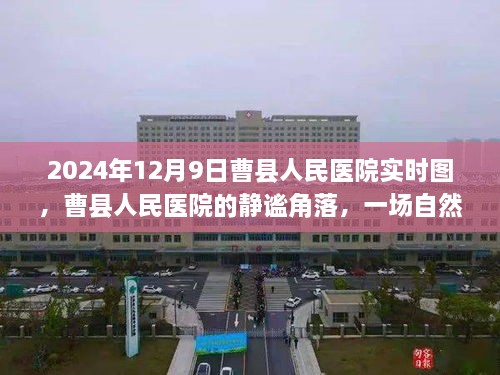 曹县人民医院角落美景，自然景色与心灵之旅的交融时光（2024年12月9日实时图）