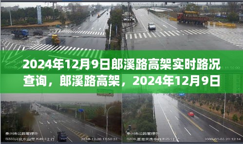 郎溪路高架实时路况查询，掌握路况动态，见证时代印记（2024年12月9日）