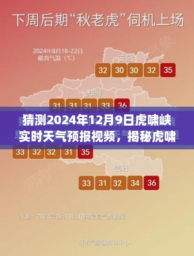 揭秘虎啸峡，预测中的2024年12月9日天气预报视频揭秘