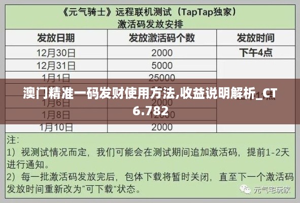 澳门精准一码发财使用方法,收益说明解析_CT6.782