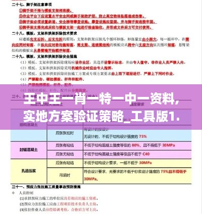 王中王一肖一特一中一资料,实地方案验证策略_工具版1.895