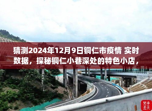 铜仁疫情实时数据探秘与小巷特色小店冒险之旅，一场关于疫情的冒险之旅