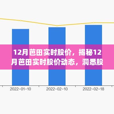 揭秘12月芭田实时股价，洞悉股市行情变化与动态分析