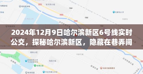 探秘哈尔滨新区，2024年12月9日6号线实时公交之旅，巷弄间的美味奇遇