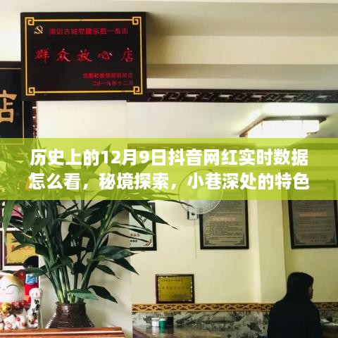 抖音网红实时数据之旅，揭秘历史12月9日秘境与小巷特色小店的数据奥秘