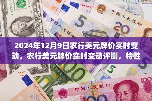 农行美元牌价实时变动详解，特性、用户体验与竞品对比（2024年12月9日）