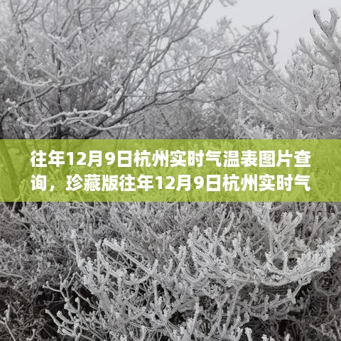 『重温温暖瞬间，珍藏版杭州往年12月9日实时气温表图片查询攻略』