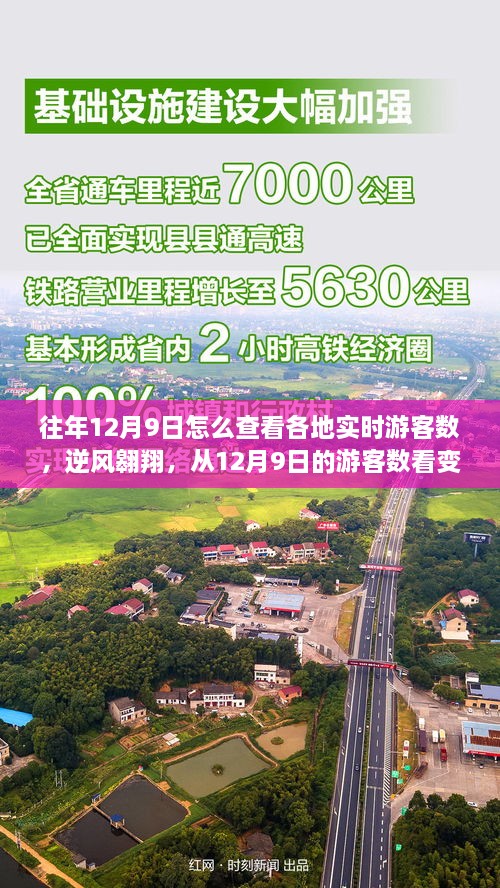 逆风翱翔，从游客数变化洞察学习魅力与力量，各地实时游客数查询指南（12月9日）