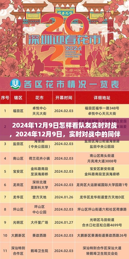 2024年12月9日队友实时对战观察与同伴影响力深探