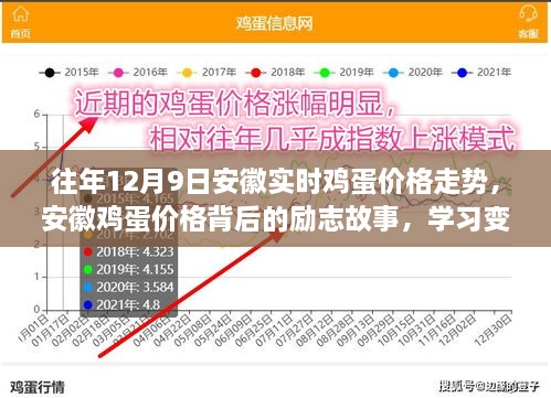 安徽鸡蛋价格背后的励志故事，自信成就梦想与实时走势分析——历年12月9日的观察与启示