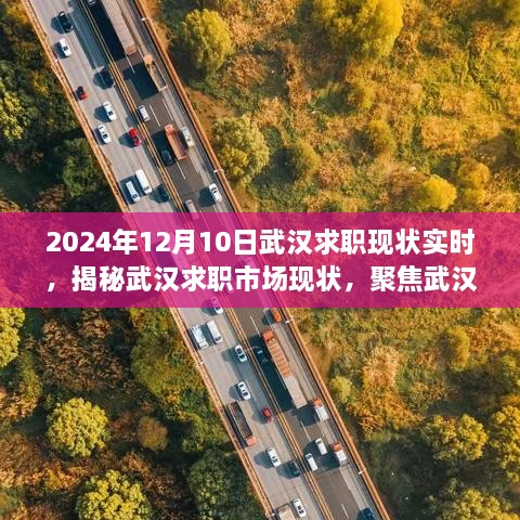 2024年观察，武汉求职市场实时现状与动态揭秘