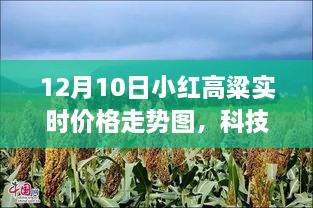 科技赋能生活，小红高粱实时价格走势图引领交易决策新纪元