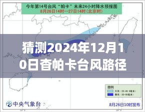 温馨故事待映，杳帕卡台风路径预测与友情共鸣，共话台风来临前的日常准备与关怀