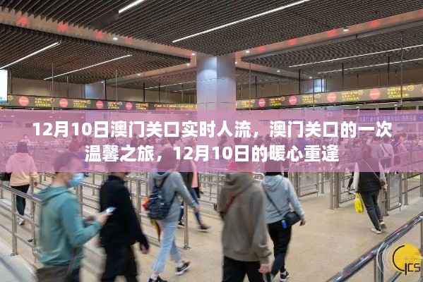 澳门关口温馨之旅，12月10日实时人流与暖心重逢纪实