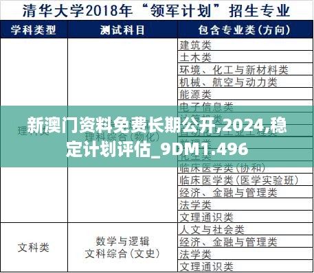 新澳门资料免费长期公开,2024,稳定计划评估_9DM1.496