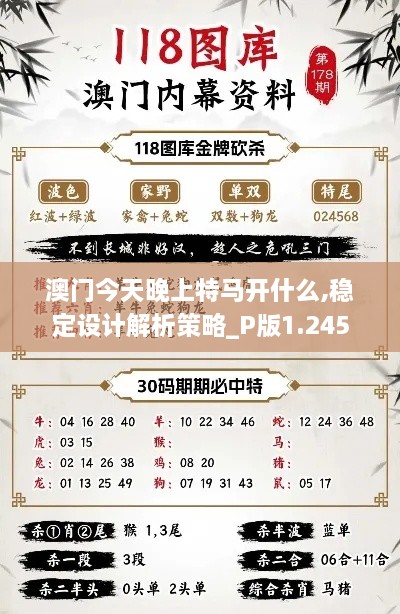 澳门今天晚上特马开什么,稳定设计解析策略_P版1.245